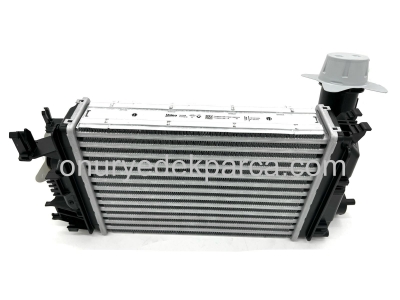 Renault Taliant Dacia Sandero 3 Jogger Turbo Radyatörü İntercool 144968819R